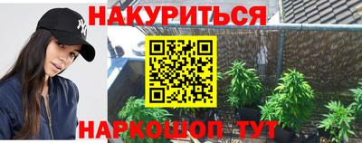 крисы Краснознаменск