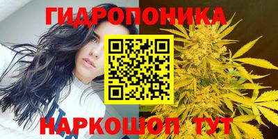 эйфоретик Конаково