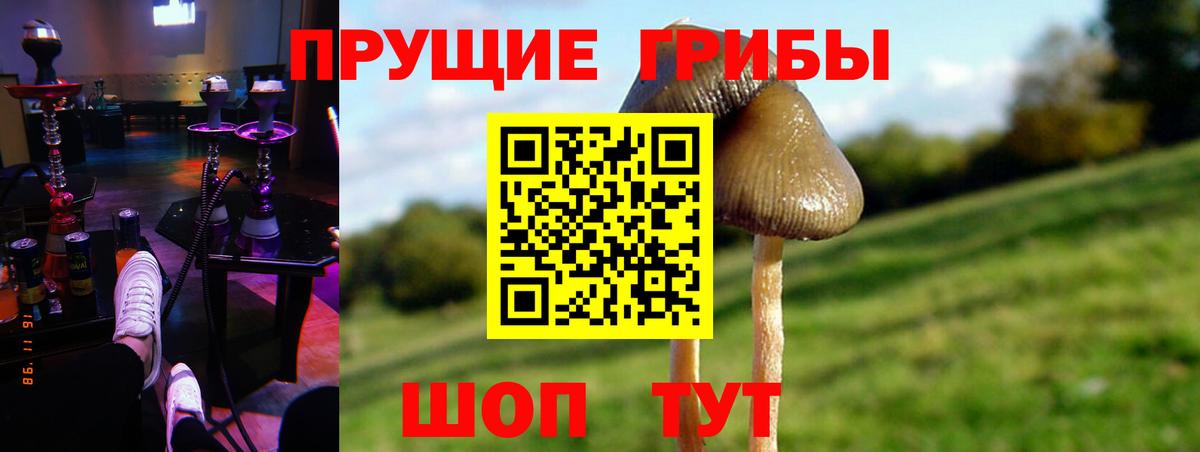 Галлюциногенные грибы прущие грибы Янаул